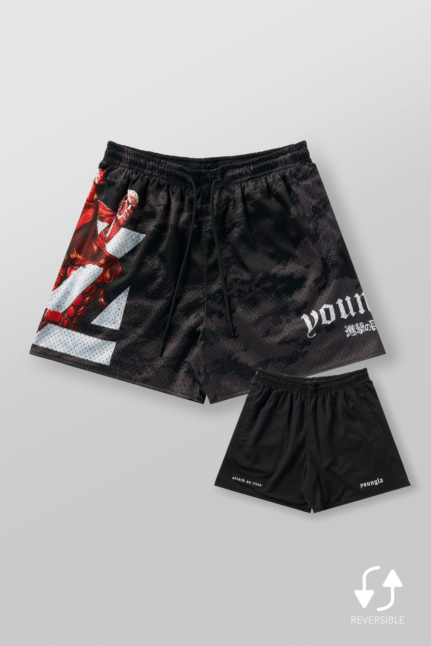 1126 - AOT漏 x YLA Mesh Shorts - Image 10