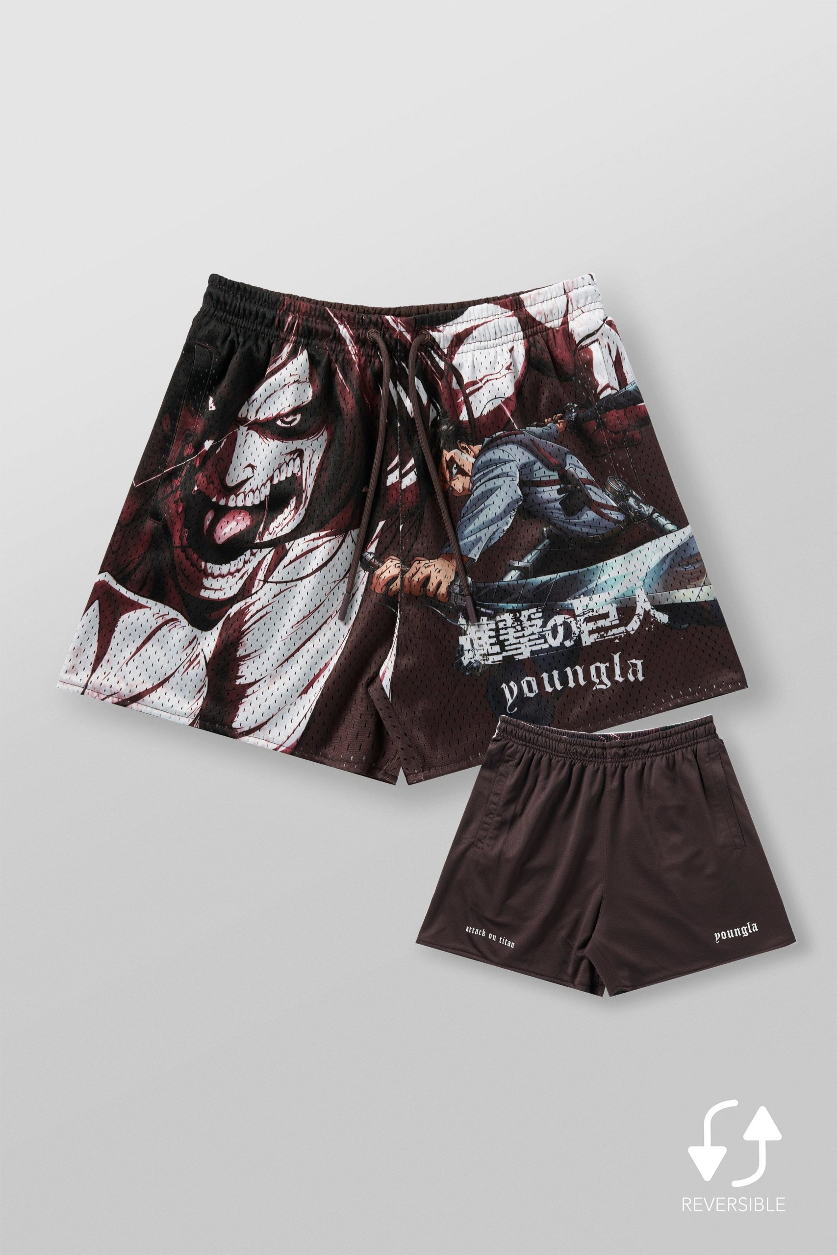 1126 - AOT漏 x YLA Mesh Shorts - Image 8